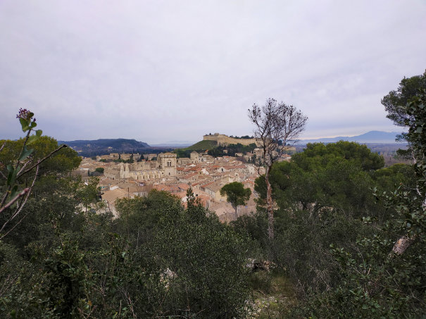 ‘Lapin à la Moutarde’ research: Old city behind trees