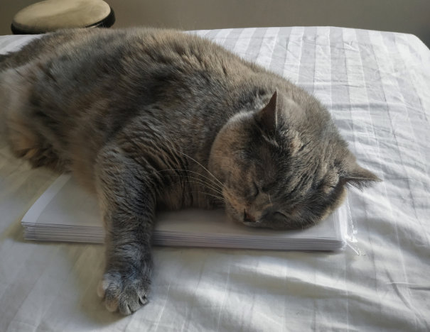 Manuscript: Feline approved